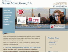 Tablet Screenshot of goskilaw.com